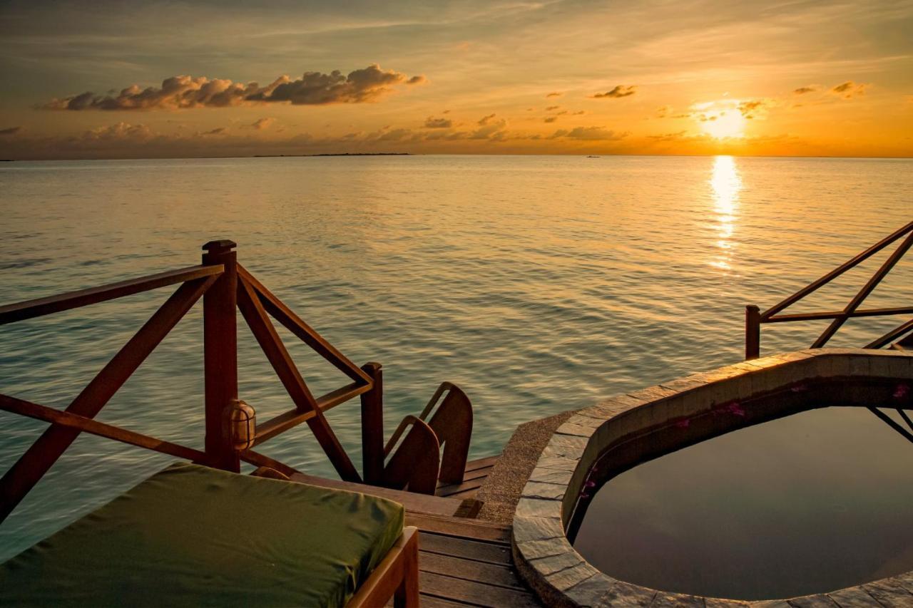 Coco Palm Dhuni Kolhu - 20 Percent Off Roundtrip Seaplane For From 1 To 30 September 2025