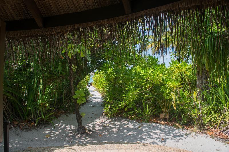 Coco Palm Dhuni Kolhu - 20 Percent Off Roundtrip Seaplane For From 1 To 30 September 2025 4*